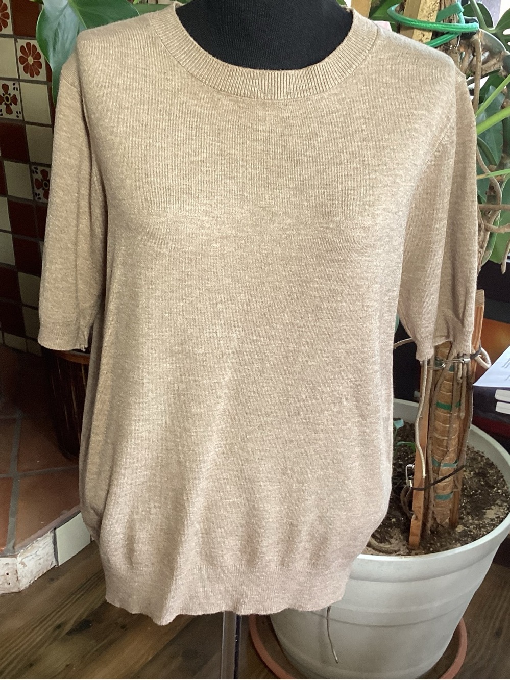 Cashmere -Light Taupe Short-Sleeve Women's Sweater